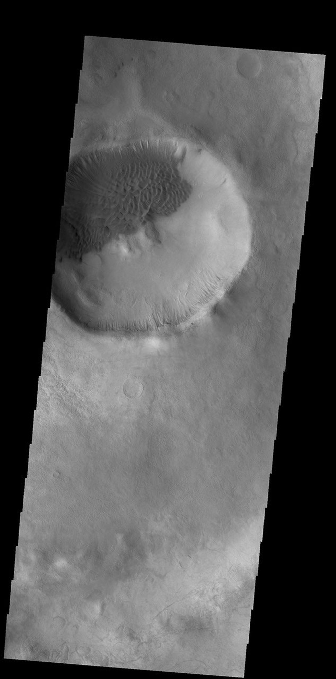 This image from NASA's Mars Odyssey shows dark dunes filling part of the floor of this unnamed crater in Terra Sirenum. There are numerous gullies on the rim of the crater.