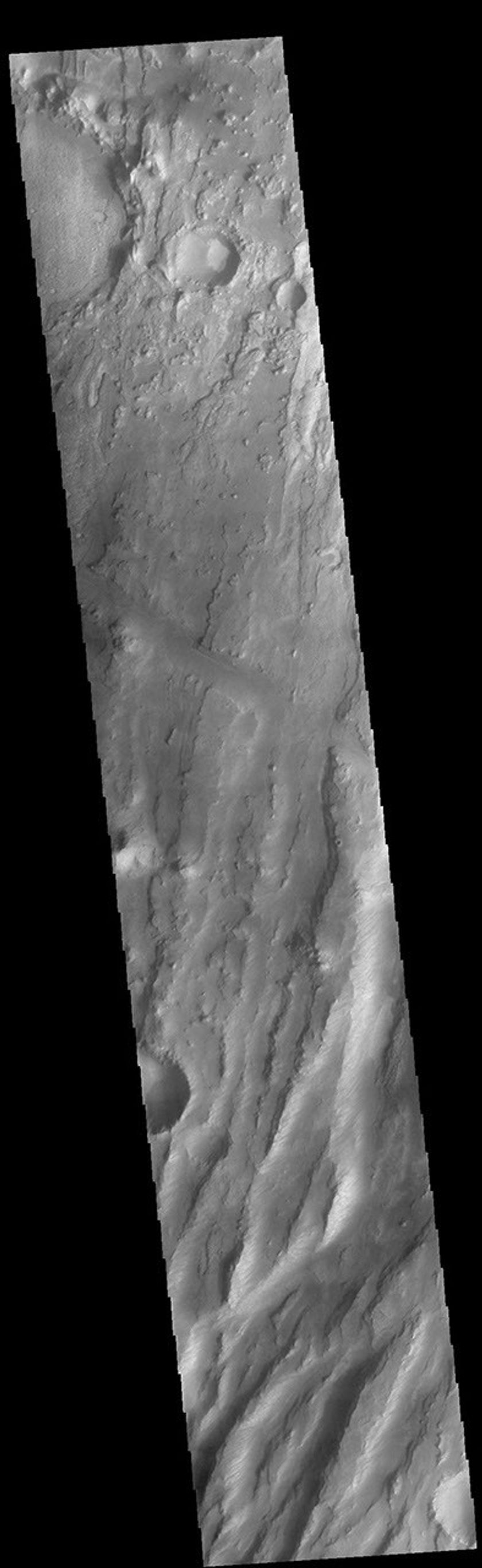 This image from NASA's Mars Odyssey shows part of Claritas Fossae. The linear features (fossae) are flaults.