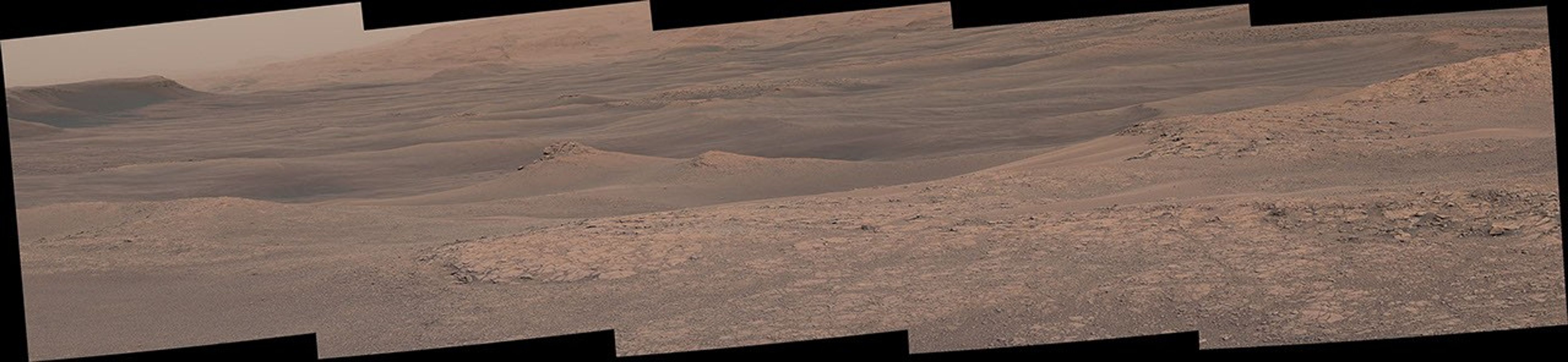 The Mast Camera (Mastcam) on NASA's Curiosity Mars rover captured this mosaic as it explored the clay-bearing unit on Jan. 23, 2019 (Sol 2299).