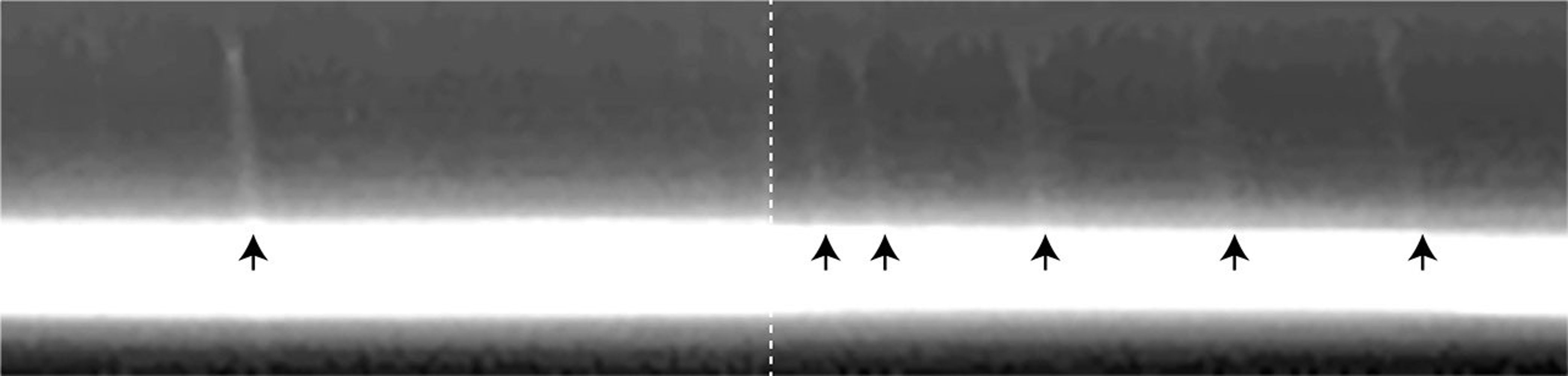 NASA's Cassini spacecraft shows evidence in the core region of the F ring, visible here, that a population of small objects impacted the rings at the same time and caused streaks of material to emerge.