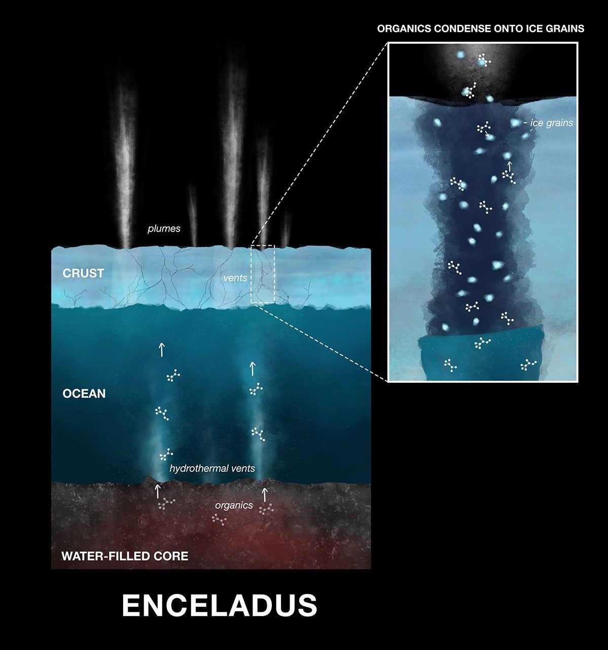 This illustration shows the process of organic compounds making their way onto ice grains emitted in plumes from Saturn's moon Enceladus, where they were detected by NASA's Cassini spacecraft.