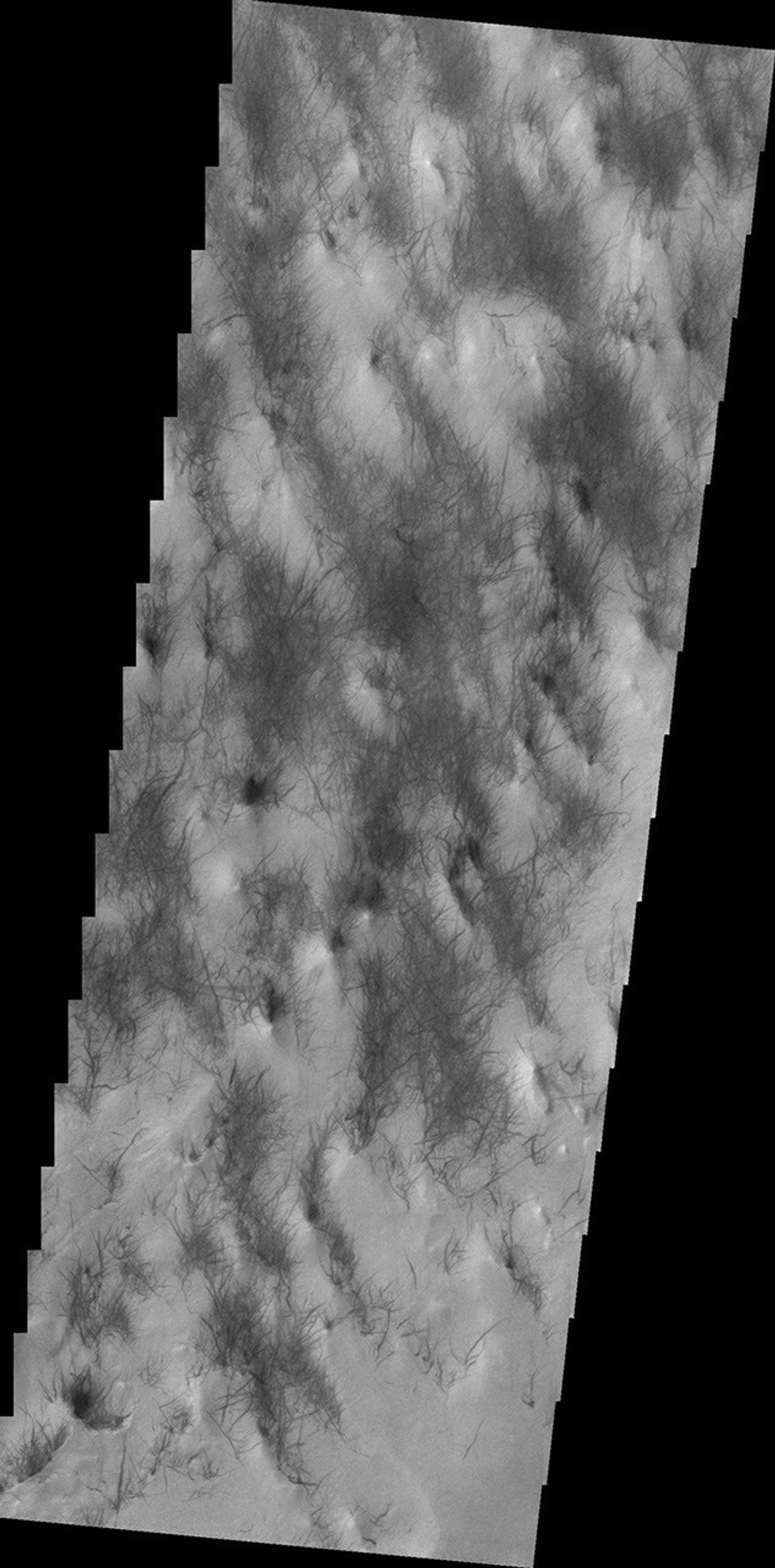 This image from NASA's Mars Odyssey shows an area near Hooke Crater on the margin of Argyre Planitia.
