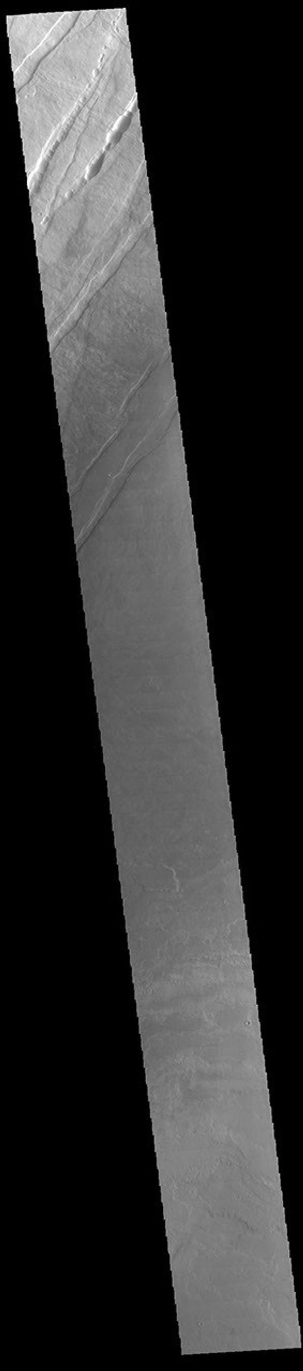 This image from NASA's Mars Odyssey shows the lower flank of Arsia Mons. The linear features are tectonic faults.