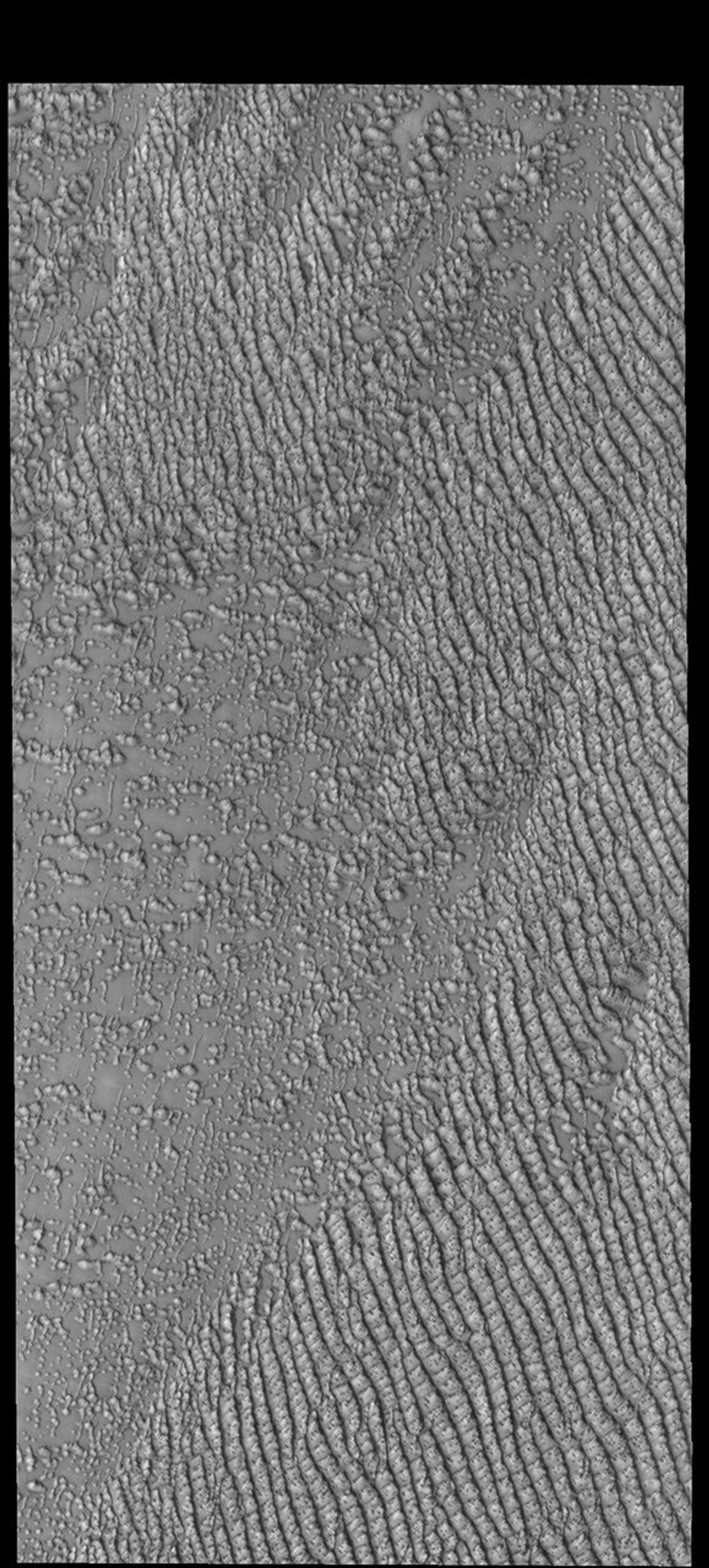 This image from NASA's Mars Odyssey shows several dune fields encircling the north polar cap. Hyperboreae Undae is one of them.