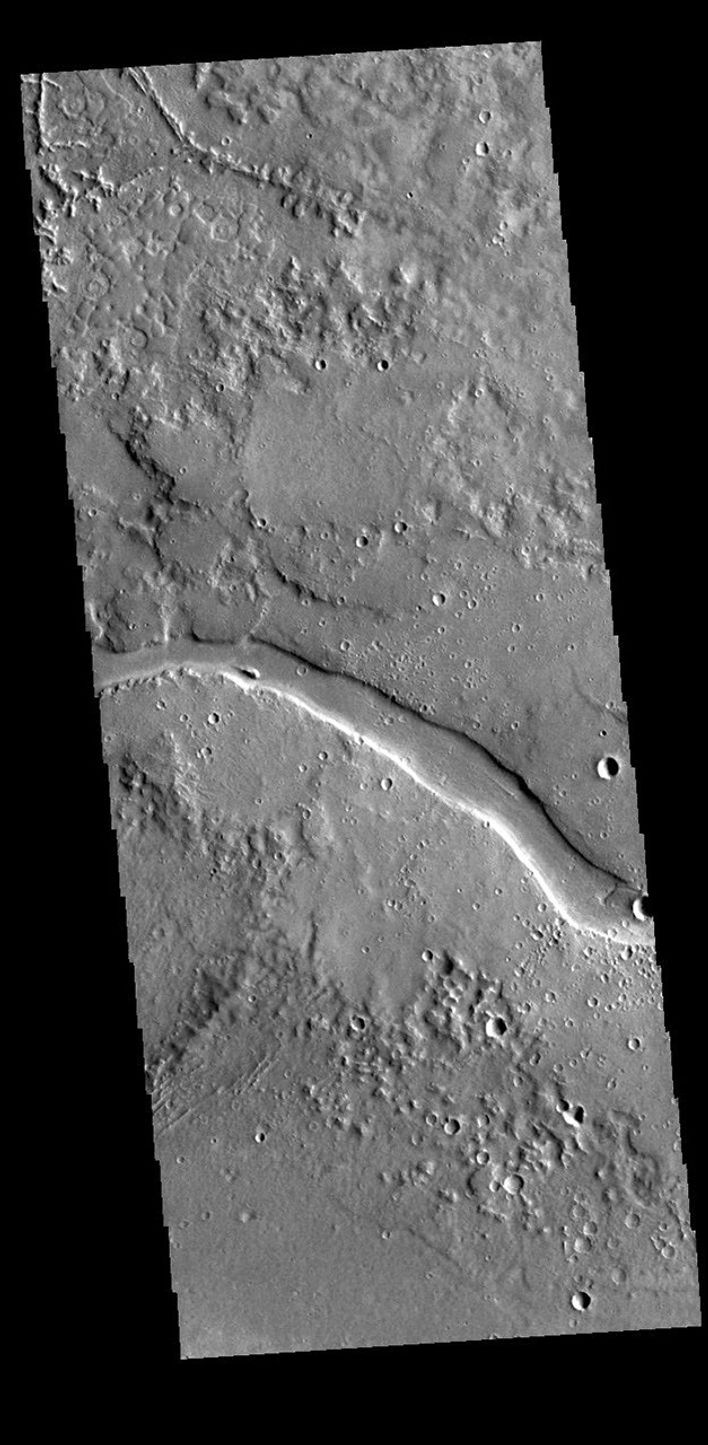 This image from NASA's Mars Odyssey shows a section of Granicus Valles. Granicus Valles is a complex channel system located west of Elyisum Mons.
