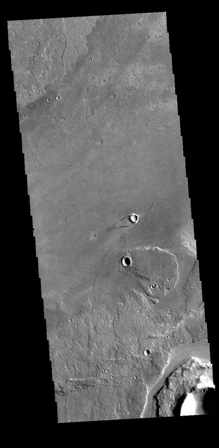 This image from NASA's Mars Odyssey shows part of Athabasca Valles. This is just one of the complex channel formations in the Elysium Planitia region.