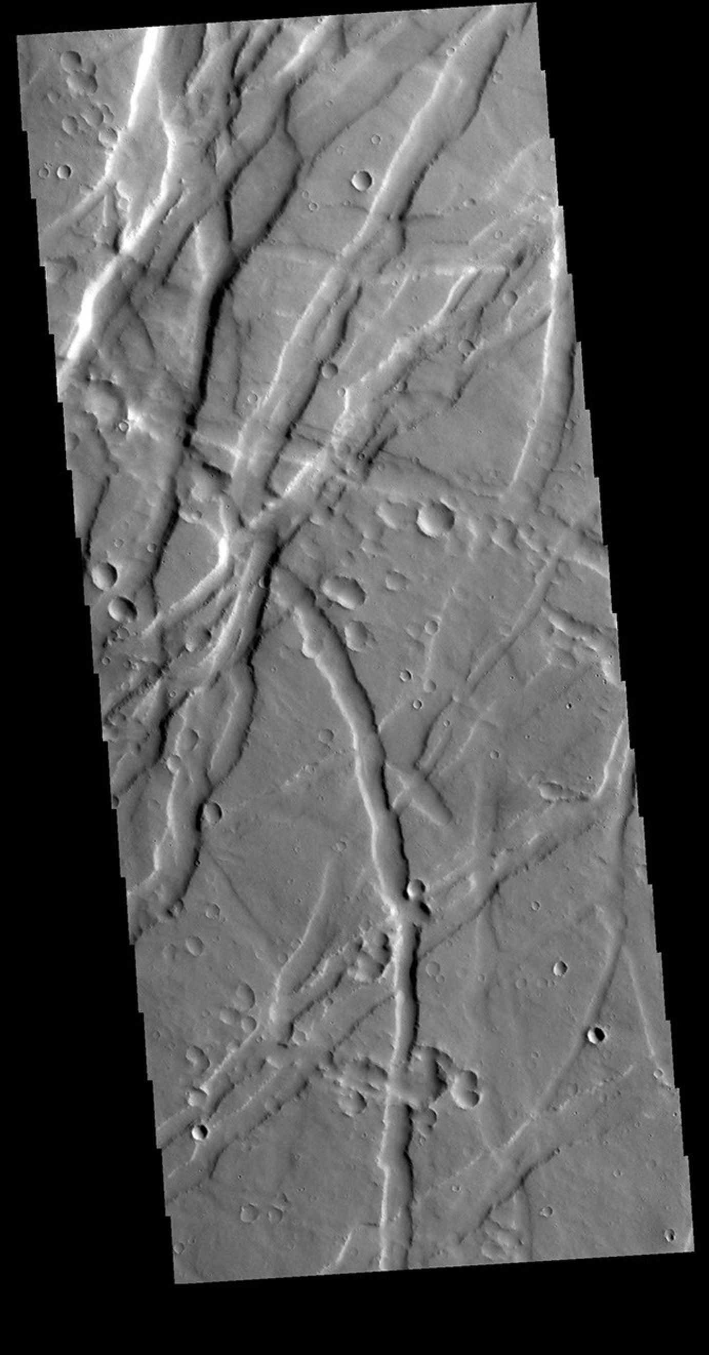 This image from NASA's Mars Odyssey shows Uranius Fossae, a region of multi directional graben.