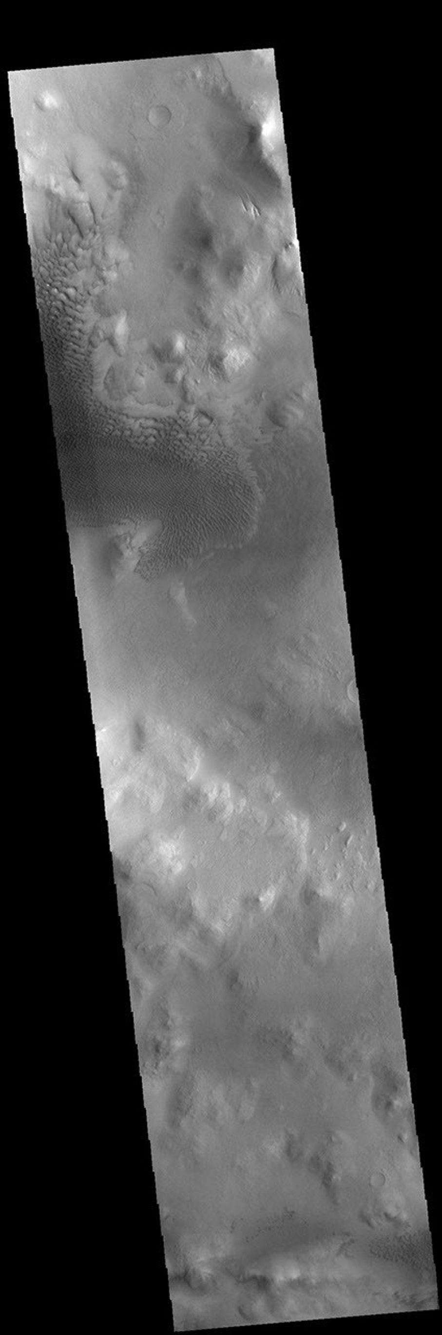 This image from NASA's Mars Odyssey shows part of Lyot Crater, including a large field of sand dunes on the crater floor.