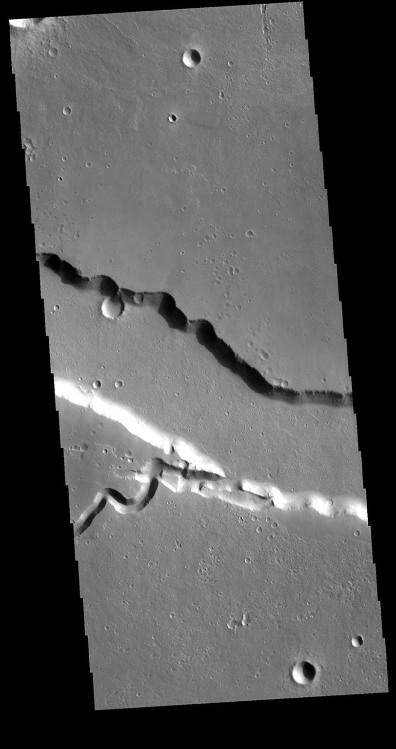 This image from NASA's Mars Odyssey shows a section of one of the many channel forms found radial to the Elysium Mons volcanic complex.