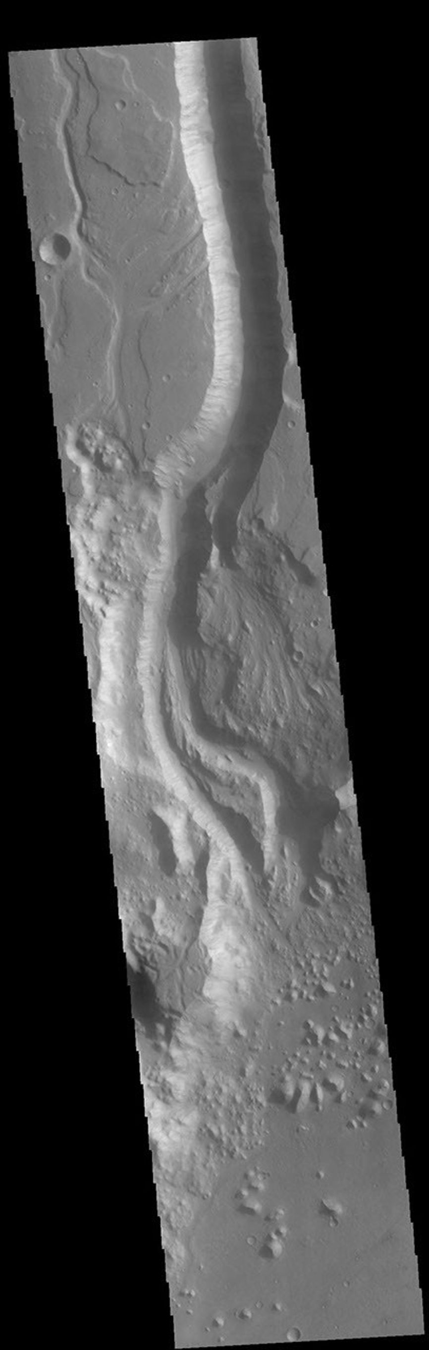 This image from NASA's Mars Odyssey shows a section of Shalbatana Vallis. Shalbatana Vallis is located in Xanthe Terra and is one of many channels that empty into Chryse Planitia.