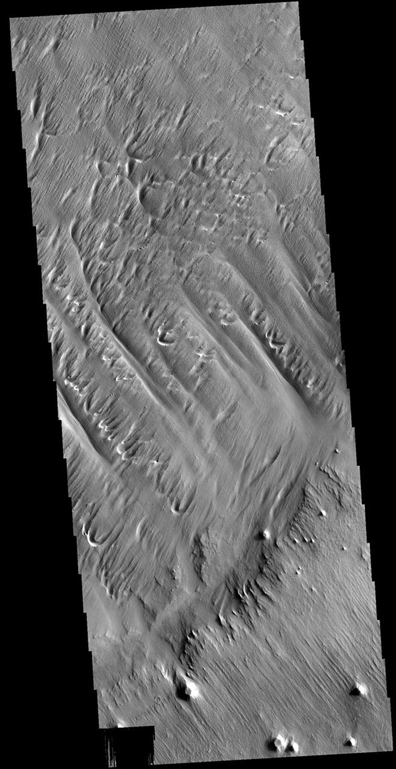 This image from NASA's Mars Odyssey shows Eumenides Dorsum, a large linear rise located in southern Amazonis Planitia.