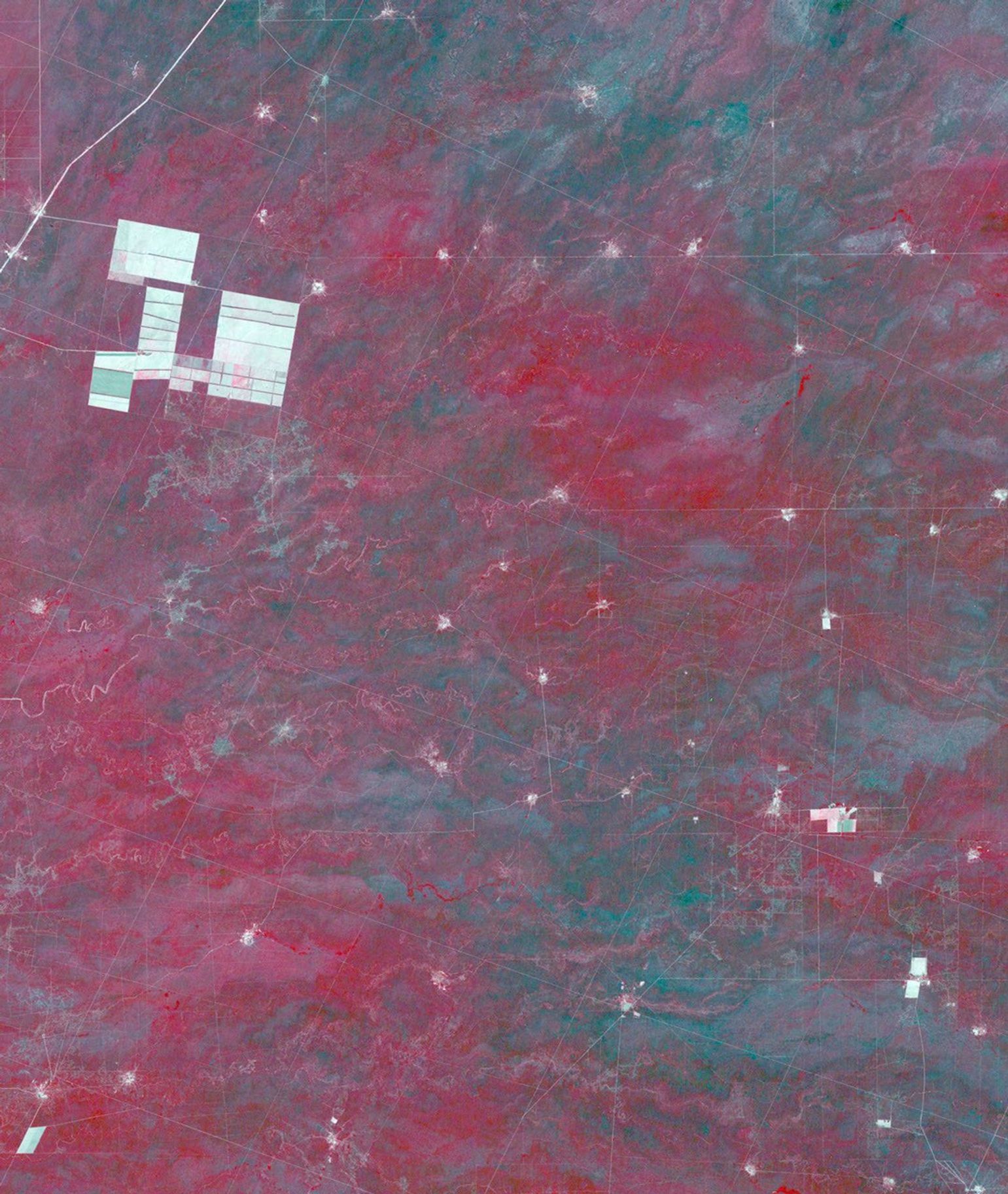 NASA's Terra spacecraft shows that in northern Argentina's Salta province, the chaco forests, made up of shrubs and hardwood trees, once thrived in the region.