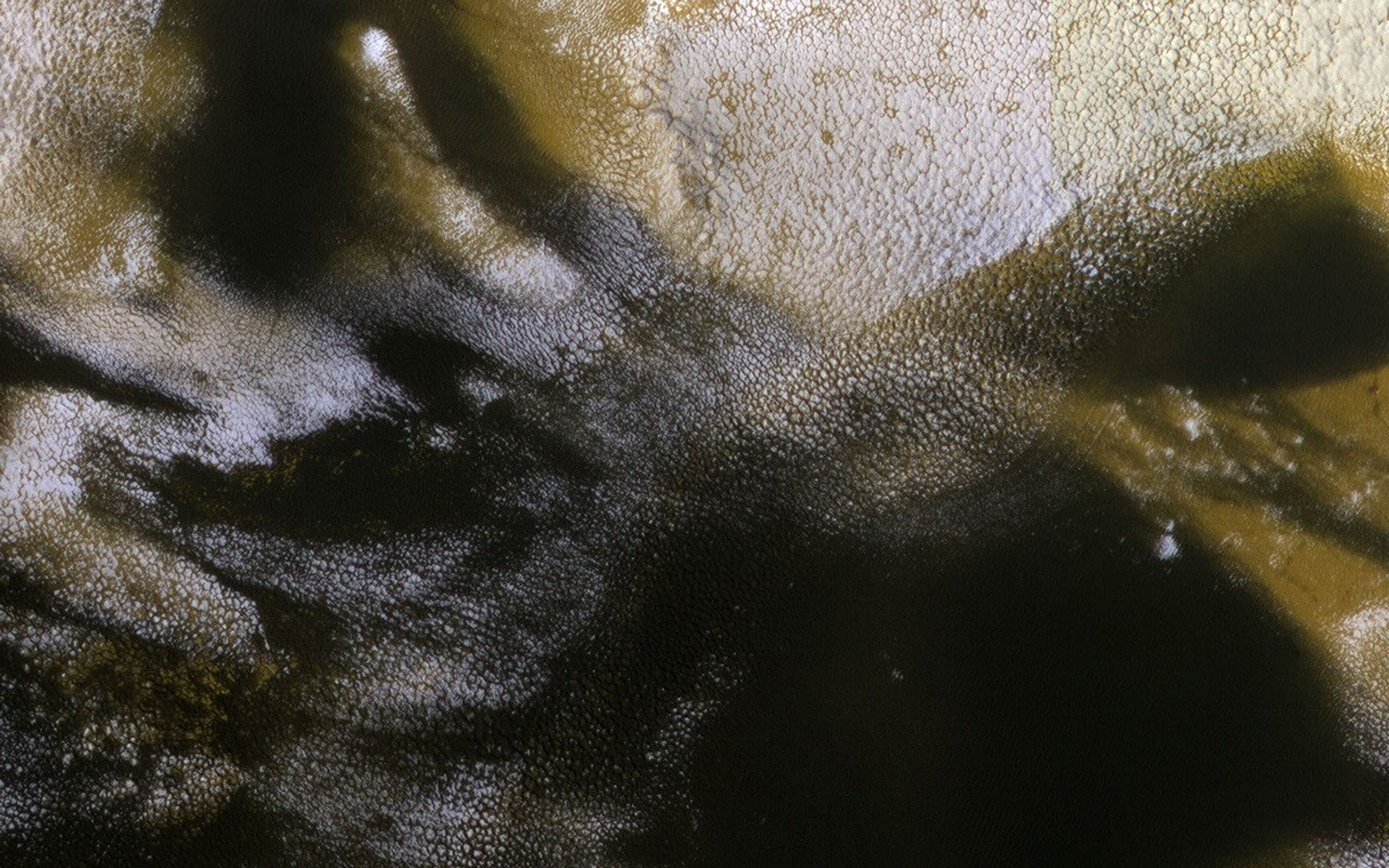 This image acquired on December 21, 2019 by NASA's Mars Reconnaissance Orbiter, shows the boundary between north polar ice and nearby polar sand dunes.