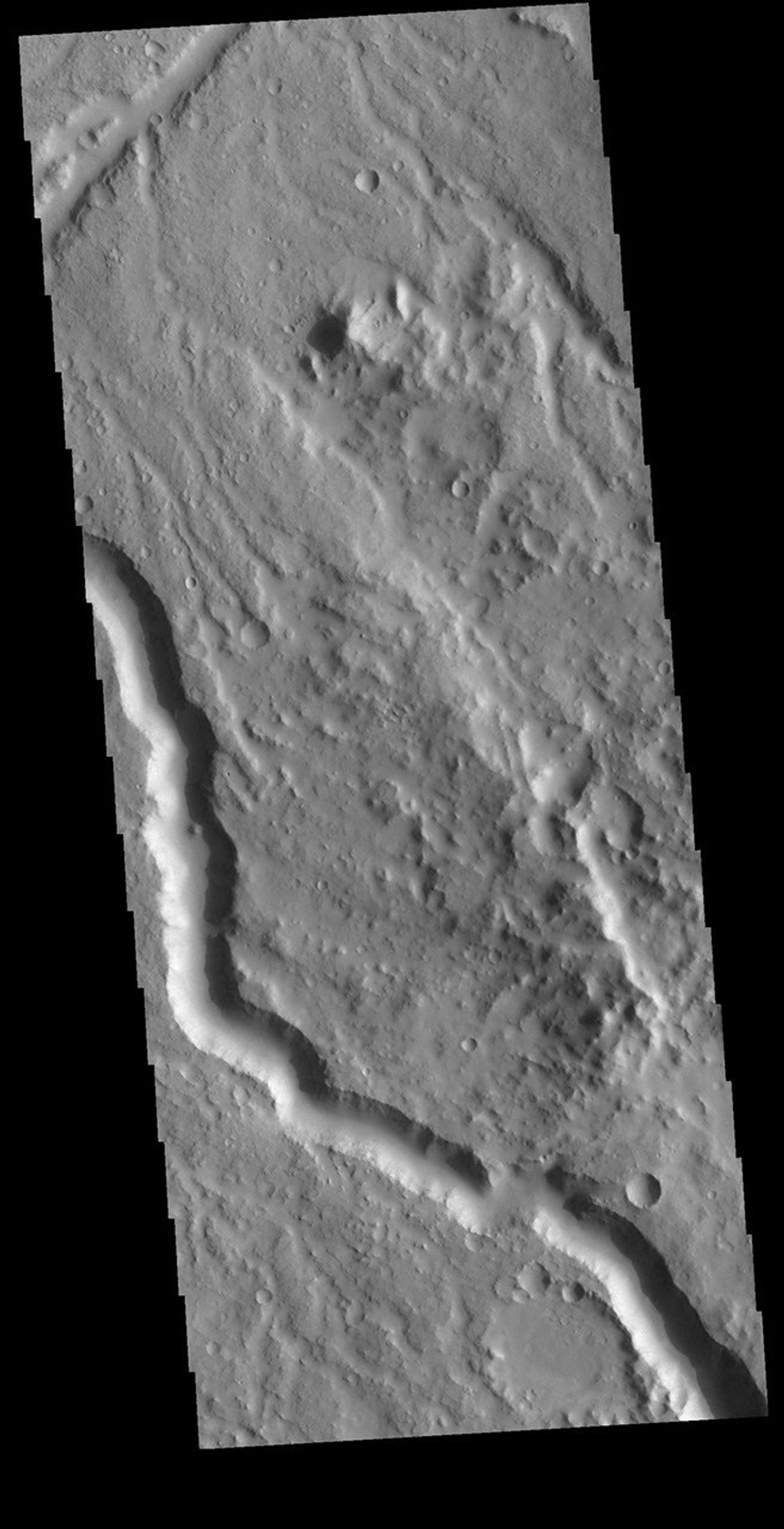 This image from NASA's Mars Odyssey shows a section of unnamed channel in Libya Montes.