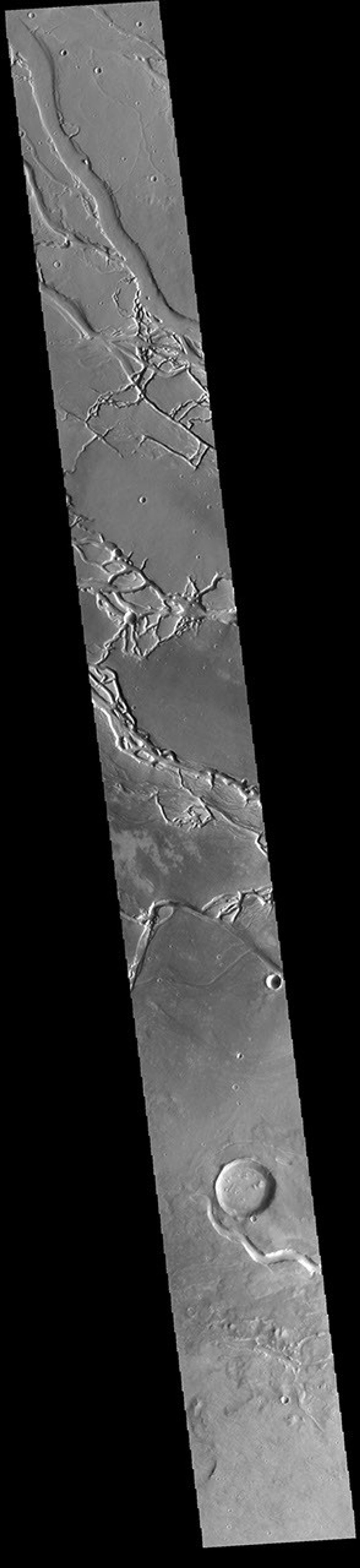 This image from NASA's Mars Odyssey shows many of the channel segments of Granicus Valles. Granicus Valles is a complex channel system located west of Elysium Mons.