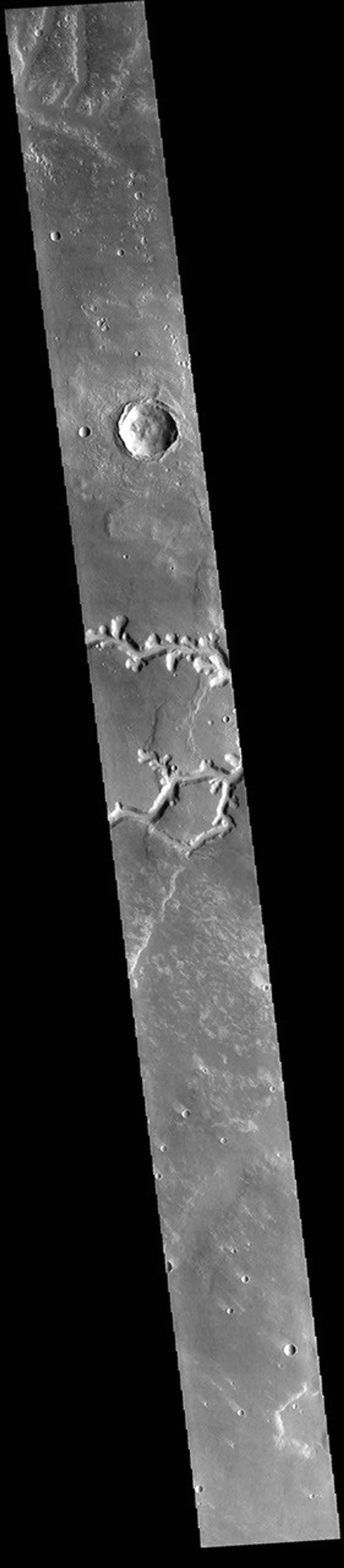 This image from NASA's Mars Odyssey shows the two channel segments of Nirgal Vallis that join just off the image to the east.