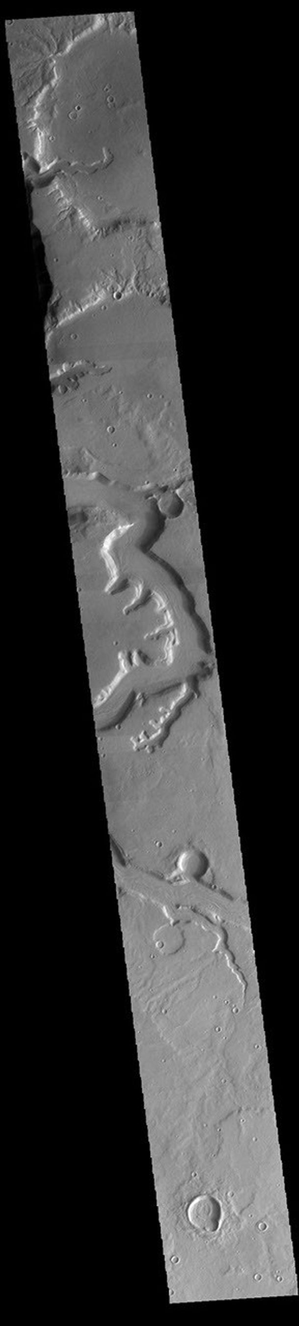 This image from NASA's Mars Odyssey shows a section of Mamers Valles. The channel is nearly 1000 km long (600 miles).