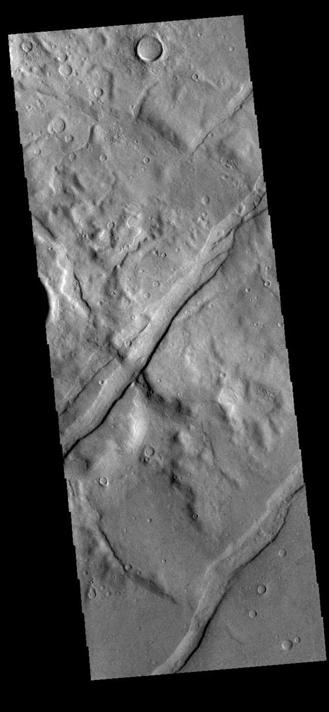 This image from NASA's Mars Odyssey shows channel-like features known as tectonic graben. These graben are called Icaria Fossae and are located in Terra Sirenum.