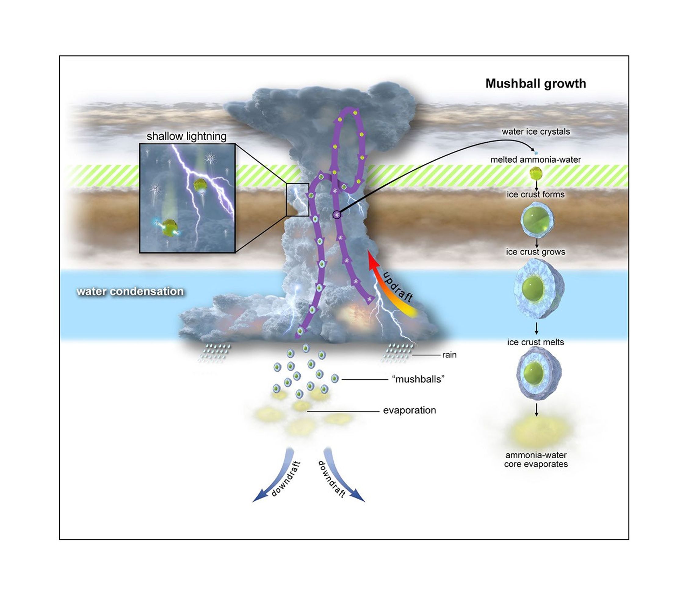 This graphic depicts the evolutionary process of shallow lightning and mushballs on Jupiter.