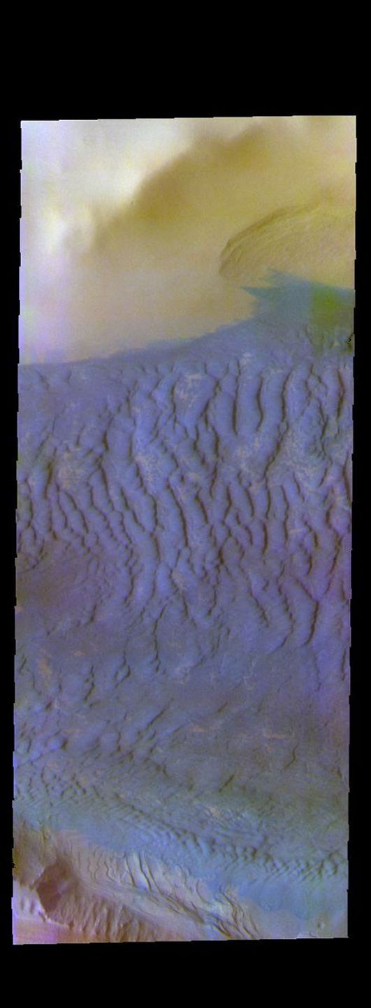 This image from NASA's Mars Odyssey shows a field of dunes in an unnamed crater. This crater has been partially covered by the polar ice of Ultima Lingula.