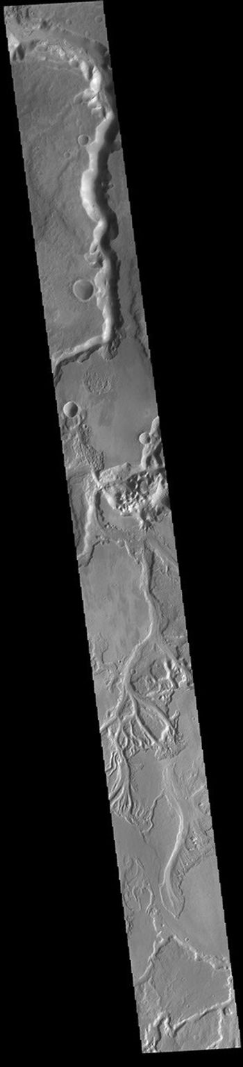This image from NASA's Mars Odyssey shows the extensive channel system that includes parts of both Sabis Vallis and Minio Vallis.
