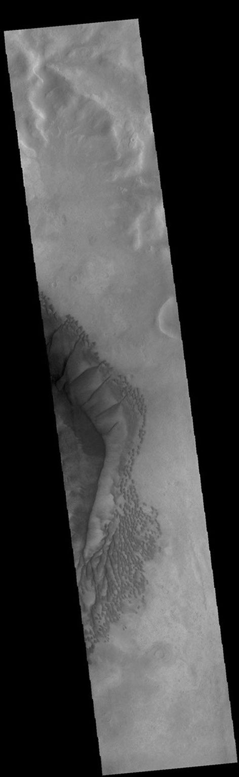This image from NASA's Mars Odyssey shows complex dune forms located on the floor of Russell Crater.