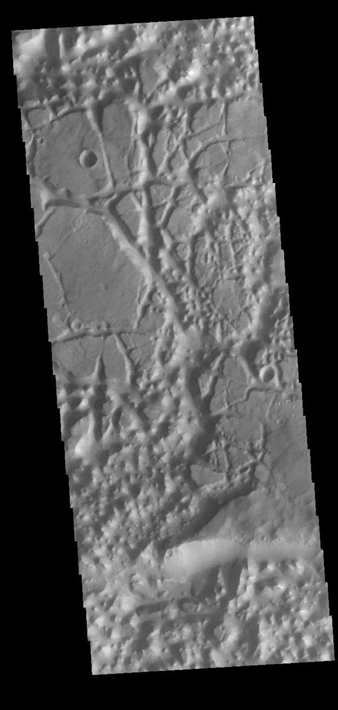 This image from NASA's Mars Odyssey shows a region of chaos where the isolated mesas are still very large, as well as other locations that are already reduced by erosion into small mesas.