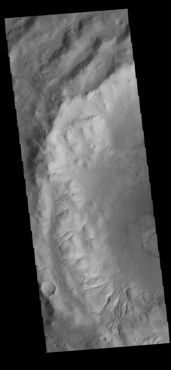 This image from NASA's Mars Odyssey shows part of an unnamed crater in Terra Sirenum. The inner crater rim is dissected by numerous small channels.