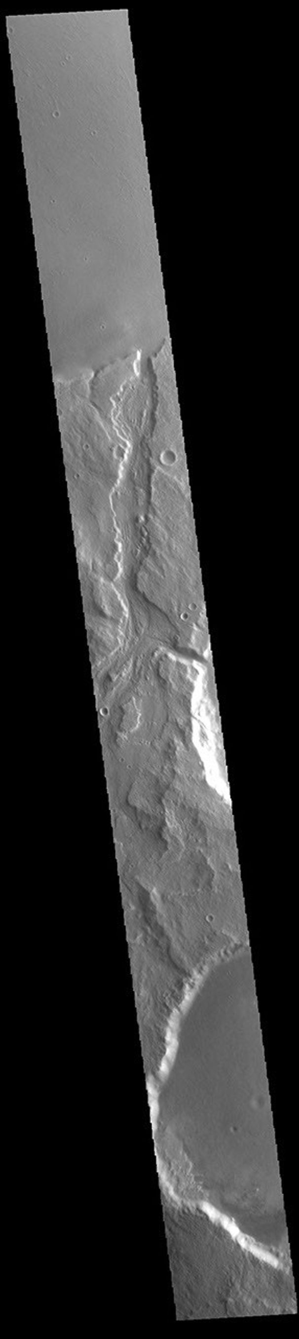 This image from NASA's Mars Odyssey shows Padus Vallis. Located east of Mangala Valles, Padus Vallis is just one of the many small channels that empty into the Medusa Fossae Formation region.