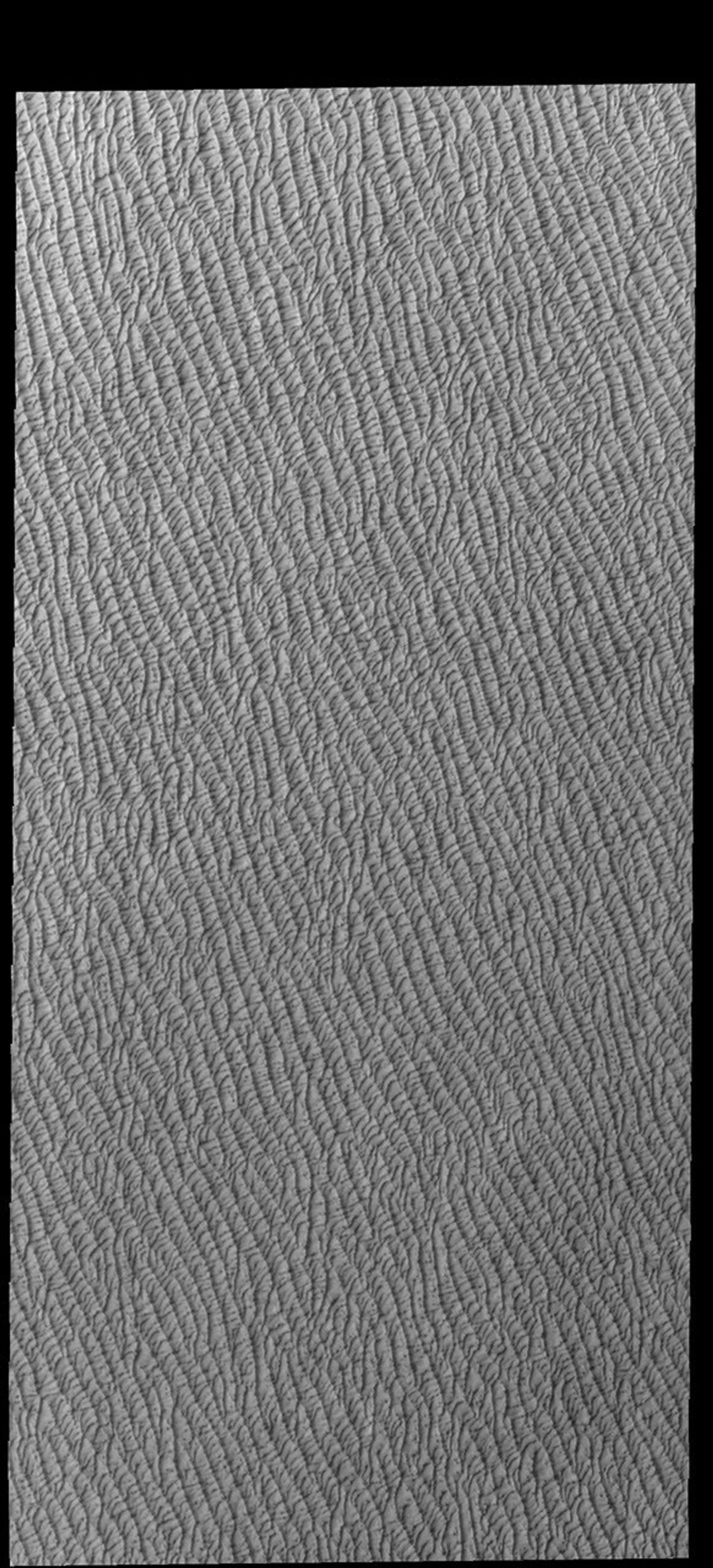 This image from NASA's Mars Odyssey shows Olympia Undae at the middle of north polar spring.