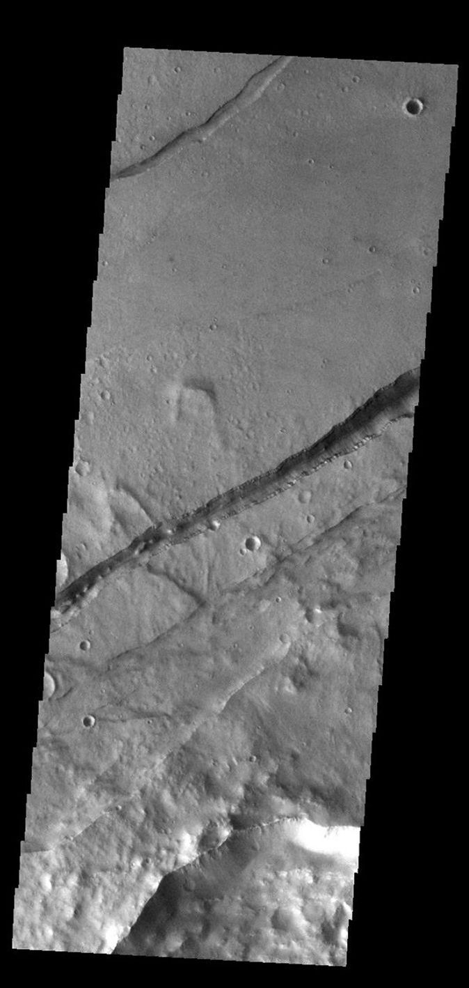 This image from NASA's Mars Odyssey shows linear depressions, part of Sirenum Fossae.