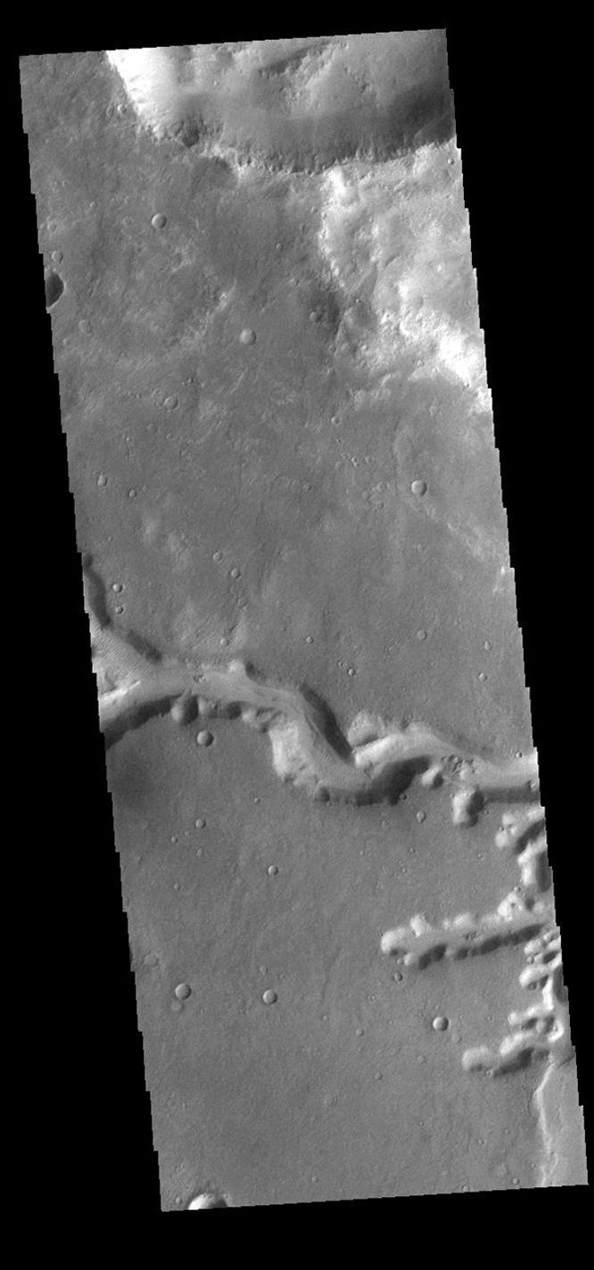 This image from NASA's Mars Odyssey shows a small section of Nirgal Valles. Located in Noachis Terra, Nirgal Valles is 610km long (379 miles).