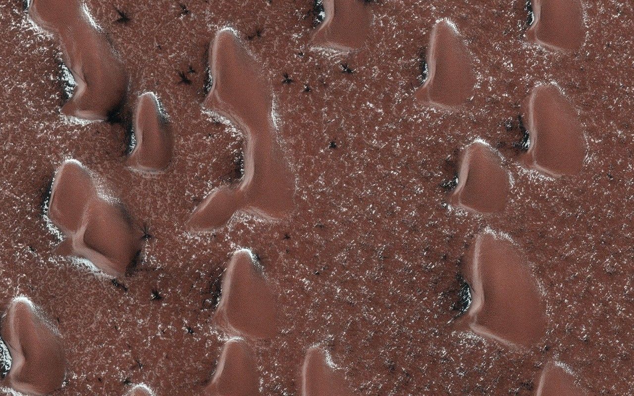 Spring Sprouts on Mars - NASA Science