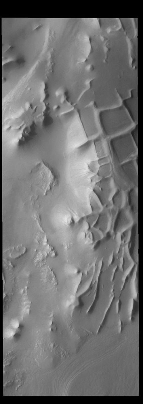 This image from NASA's Mars Odyssey shows Angustus Labyrinthus. The squares formed by intersecting ridges earned the feature the informal name of the Inca City when it was discovered in Mariner 9 images in 1972.
