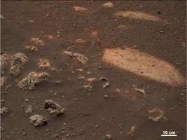 click here for larger version of figure 1 for PIA24484