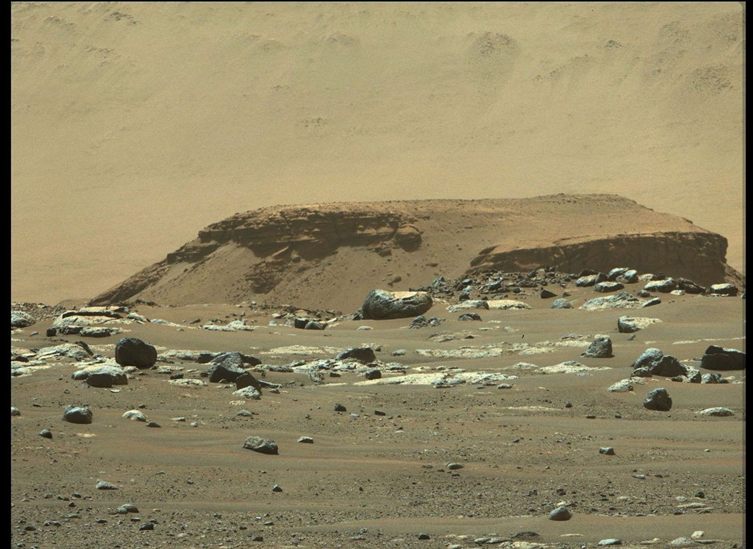 From its landing site, Octavia E. Butler Landing, NASA's Perseverance rover can see a remnant of a fan-shaped deposit of sediments known as a delta (the raised area of dark brown rock in the middle ground) with its Mastcam-Z instrument.
