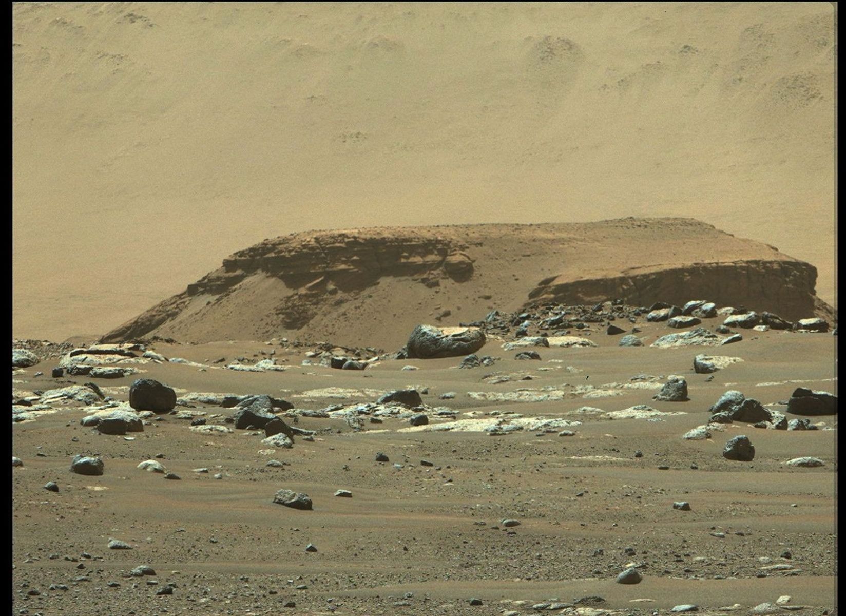 From its landing site, Octavia E. Butler Landing, NASA's Perseverance rover can see a remnant of a fan-shaped deposit of sediments known as a delta (the raised area of dark brown rock in the middle ground) with its Mastcam-Z instrument.