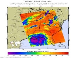 click here for Figure 1 for PIA24538