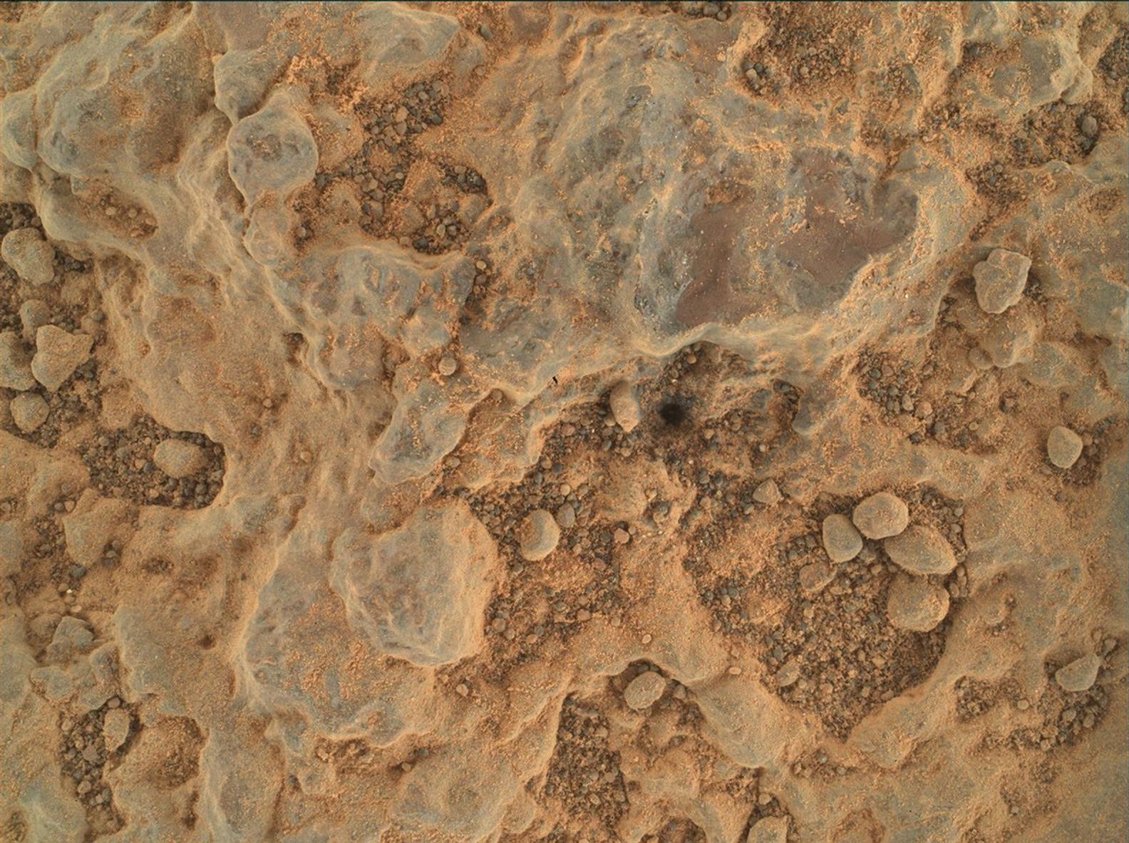 NASA's Perseverance Mars rover took this close-up of a rock target nicknamed Foux, using its WATSON camera on the end of the rover's robotic arm. The image was taken July 11, 2021.