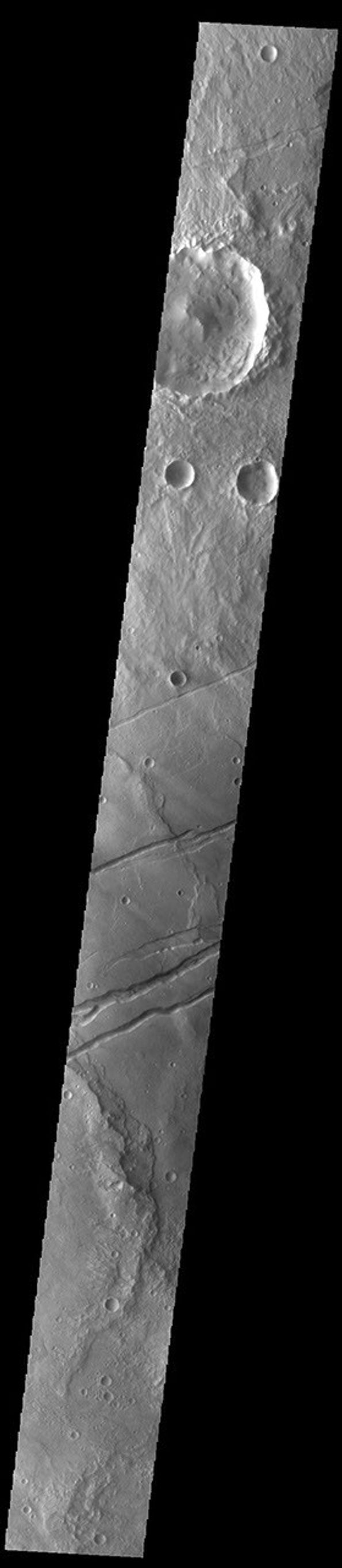 This image from NASA's Mars Odyssey shows tectonic graben, channel-like features. These graben are called Sirenum Fossae.