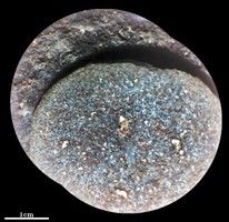 click here for Figure 1 for PIA24768