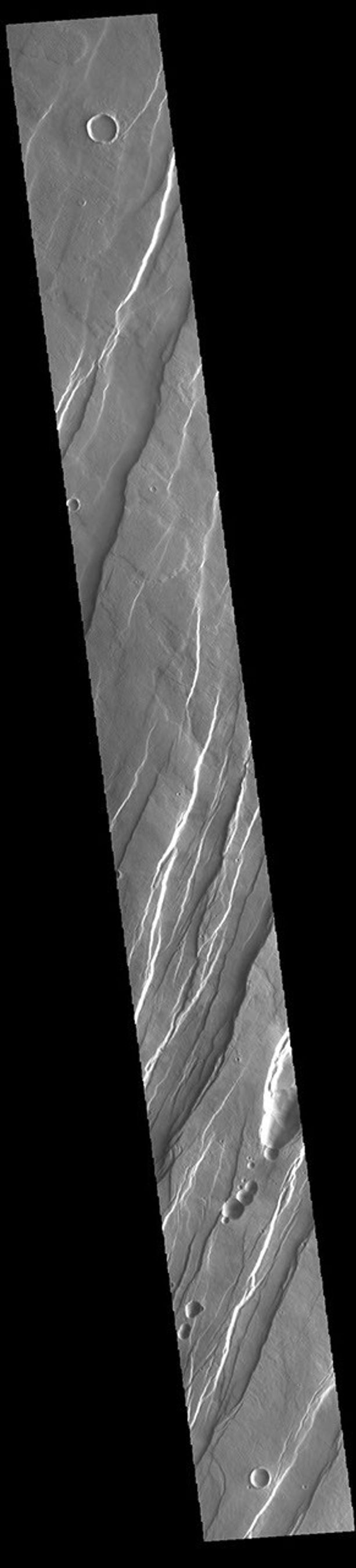 This image from NASA's Mars Odyssey shows numerous sets of graben, trending from north-northeast to south-southwest, within Tantalus Fossae.