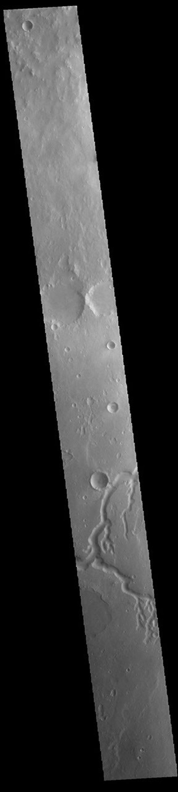 This image from NASA's Mars Odyssey shows a section of Nanedi Valles. Located In Xanthe Terra, the channel system is 508 km (315 miles) long.