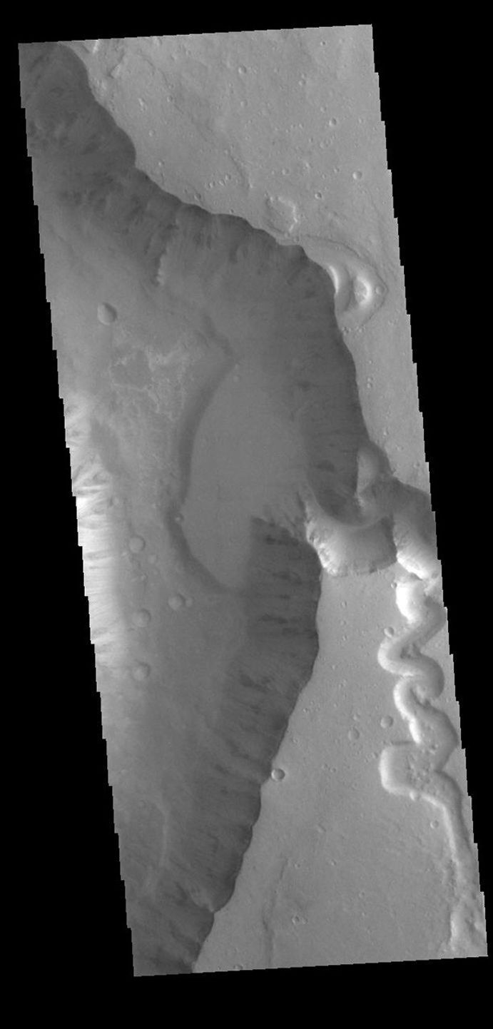 This image from NASA's Mars Odyssey shows a small section of Shalbatana Vallis.