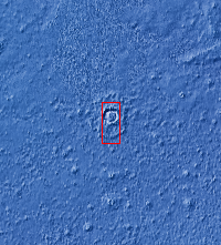 Context image for PIA24883