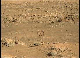 click here for Figure 1 for PIA25021