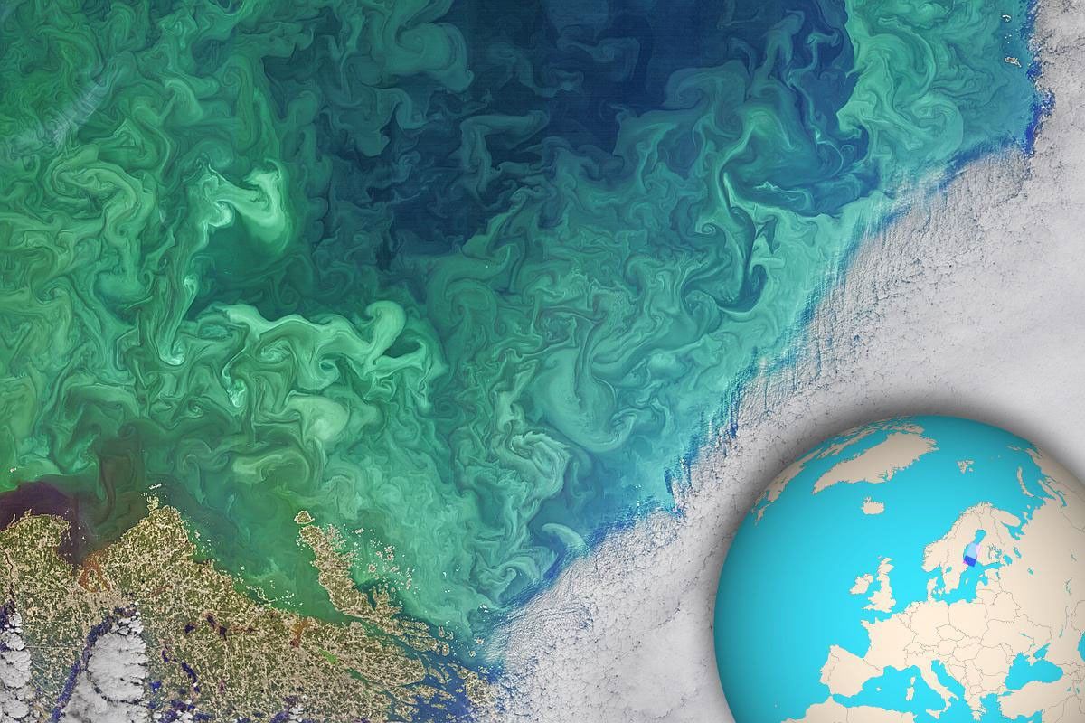 NASA's Landsat 8 satellite collected this view of phytoplankton blooming in the southern Gulf of Bothnia, in the Baltic Sea, between Sweden and Finland on April 14, 2019.
