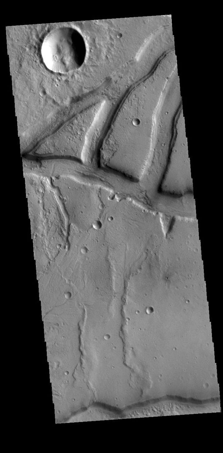 This image from NASA's Mars Odyssey shows linear depressions, part of Idaeus Fossae.