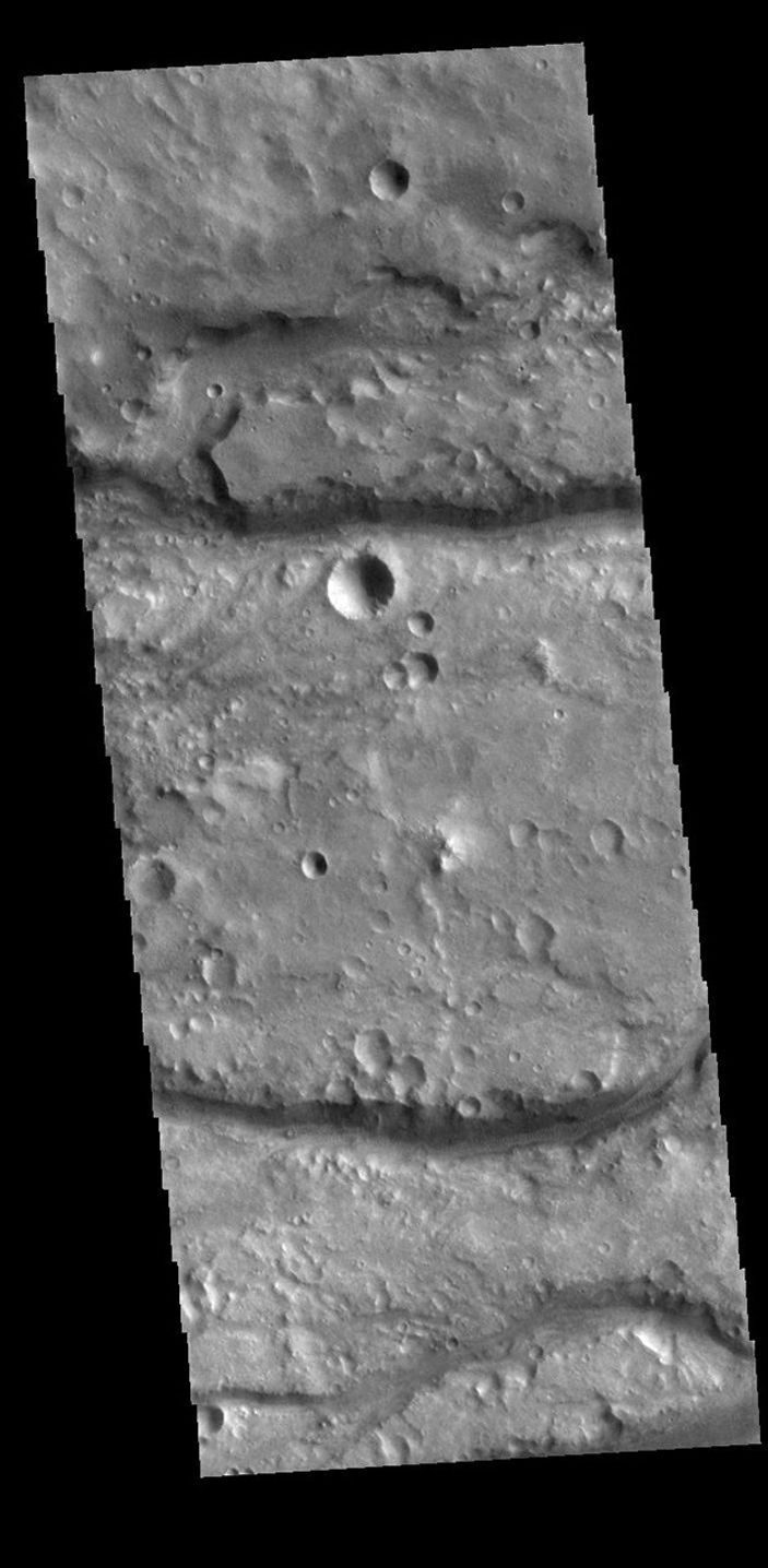 This image from NASA's Mars Odyssey shows linear channels, part of Vedra Valles.