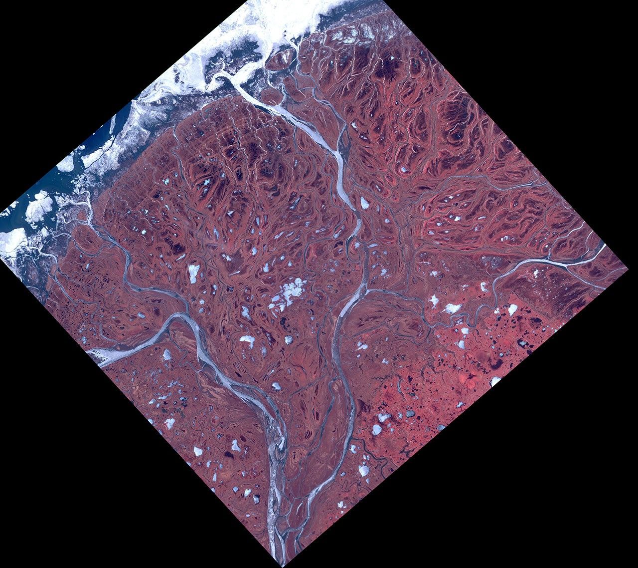 NASA's Terra spacecraft shows the Yukon River Delta (along with the Kuskokwim River), one of the largest in the world.